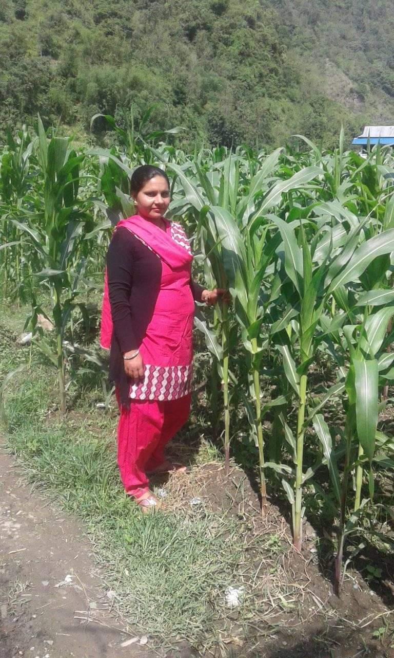 Pabitra kandel